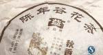 茶评：大益2008年801「秋香」青饼
