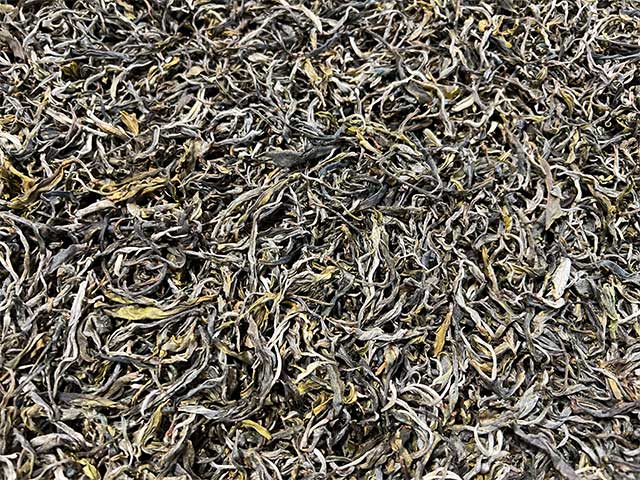 图为2025摆尾箐古树茶