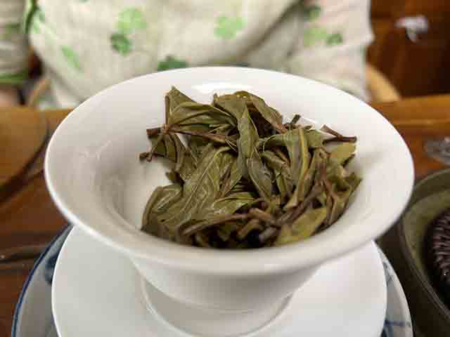 图为易武茶2025蚂蝗箐古树茶