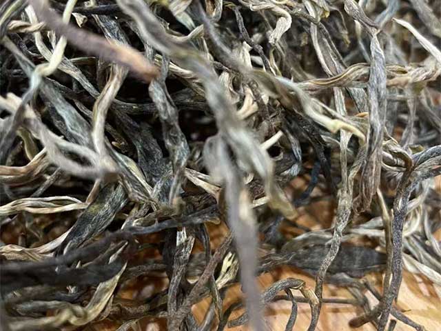 图为易武茶2025蚂蝗箐古树茶
