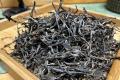 2025蚂蝗箐古树茶测评：深山秘境里的甜润暴击，喝一口就上瘾！