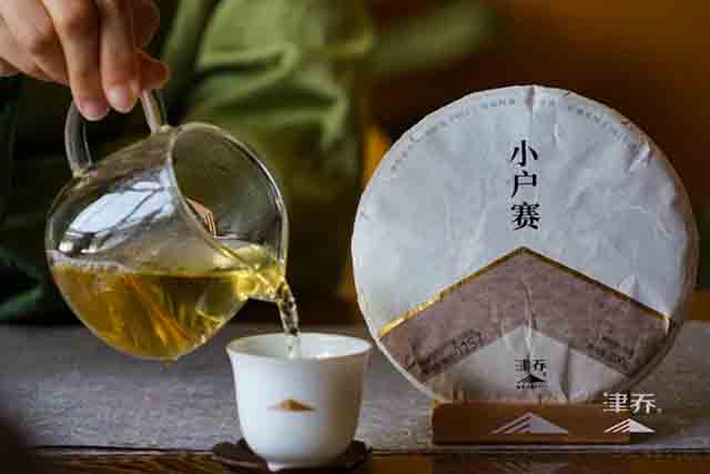 津乔普洱茶