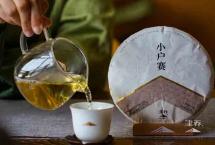 【津品茶话】在品鉴中藏出好茶，才是喝普洱茶的最大乐趣