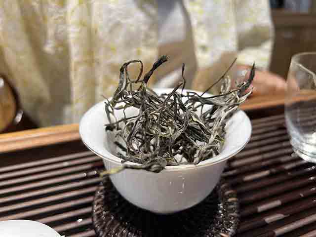 图为2025易武哆依树高杆古树茶