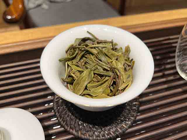 图为2025易武哆依树高杆古树茶