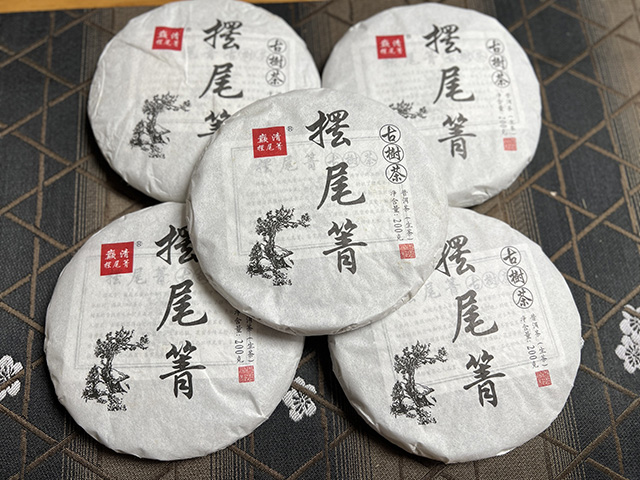 图为2023年摆尾箐古树小饼