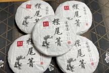 生津回甘超持久！2023年摆尾箐古树茶品鉴实录，喝过都说绝！