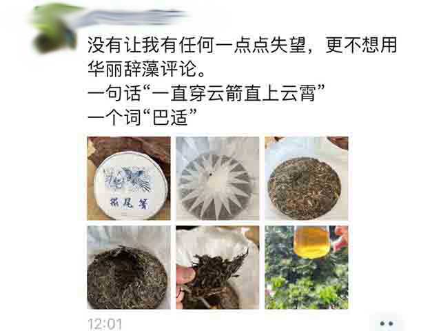 图为2021年摆尾箐古树茶小饼评价