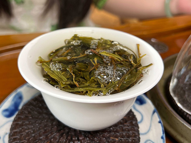 图为2024年易武上野高杆古树茶