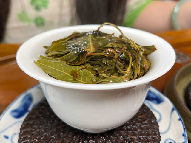图为2024年易武上野高杆古树茶