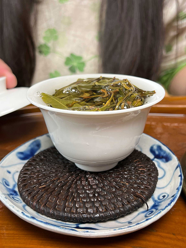 图为2024年易武上野高杆古树茶