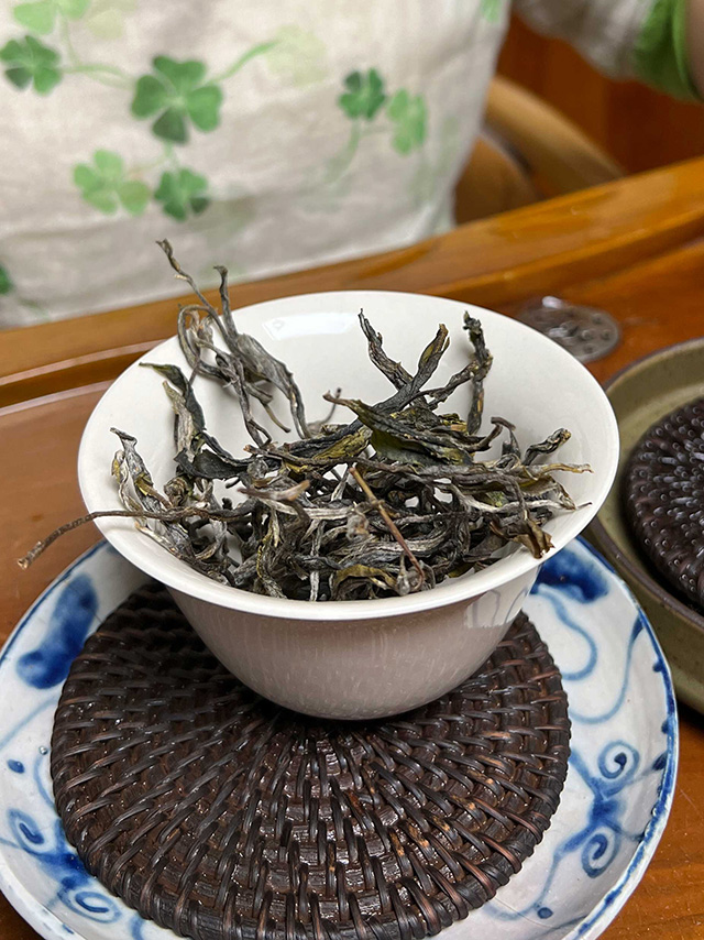 图为2025年薄荷塘二类高杆古树茶