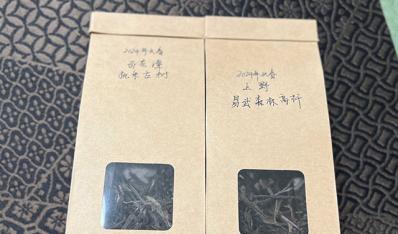 高级玩家专享！易武“上野”高杆古树茶，连呼吸都是兰香！