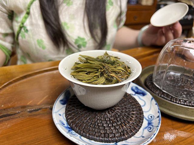 图为2025年薄荷塘二类高杆古树茶