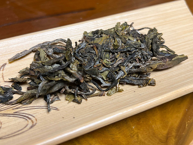 图为2024年钉耙山小叶猫耳朵普洱茶品鉴