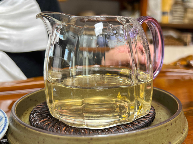 图为2024年钉耙山小叶猫耳朵普洱茶品鉴