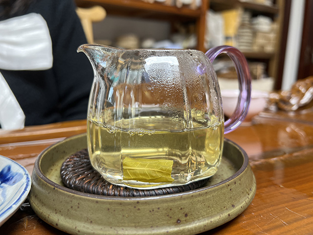 图为2024年钉耙山小叶猫耳朵普洱茶品鉴