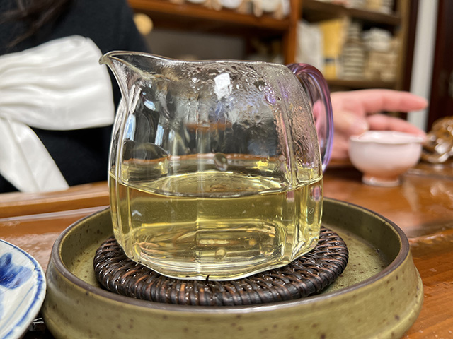 图为2024年钉耙山小叶猫耳朵普洱茶品鉴