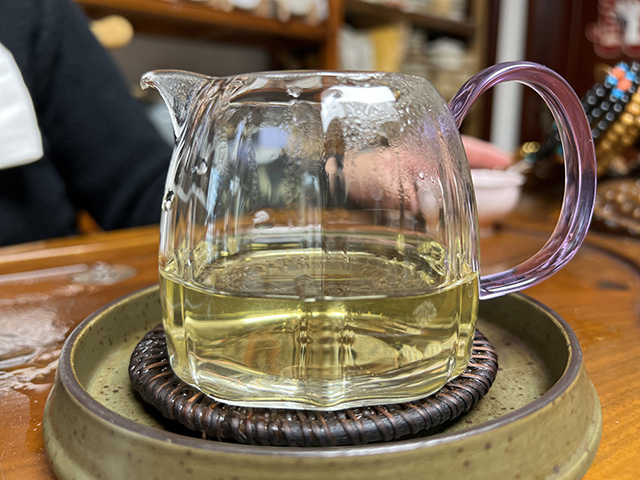 图为2024年钉耙山小叶猫耳朵普洱茶品鉴