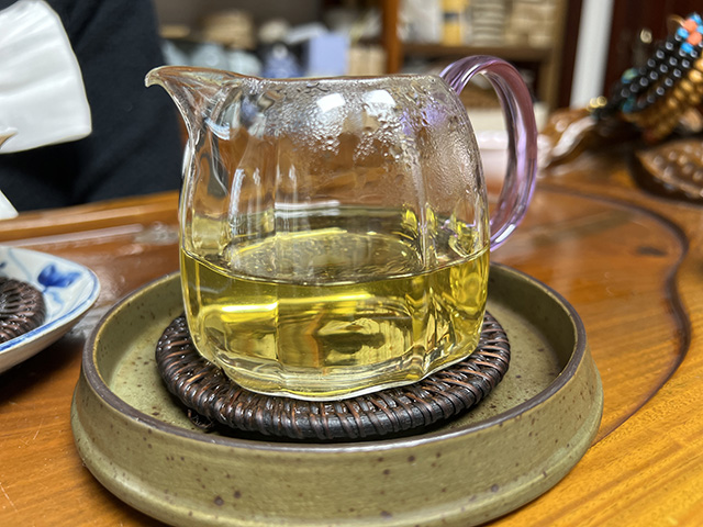 图为2024年钉耙山小叶猫耳朵普洱茶品鉴