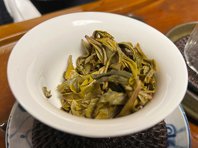 图为2024年钉耙山小叶猫耳朵普洱茶品鉴