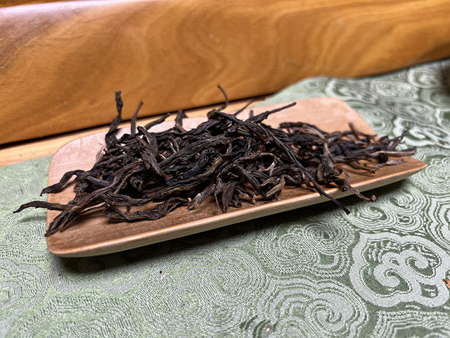 图为2023年森林古树茶