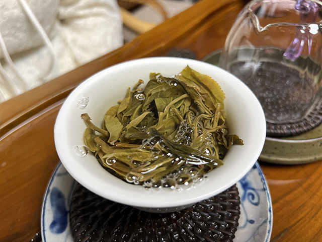 图为2023年森林古树茶