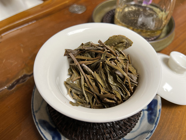 图为益木堂2018年11丈易武茶