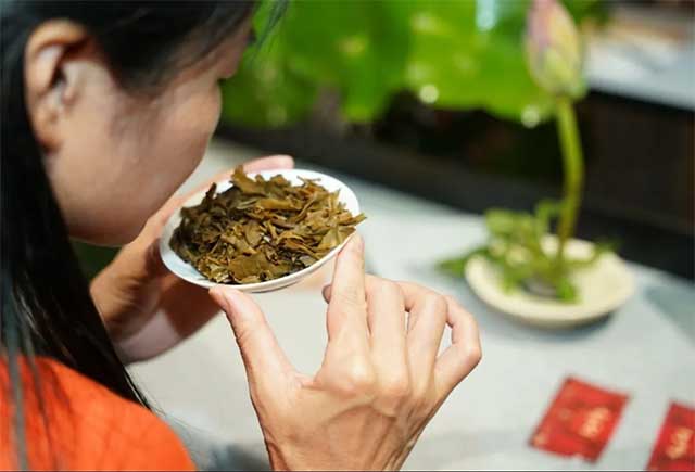 大益2501生态青砖