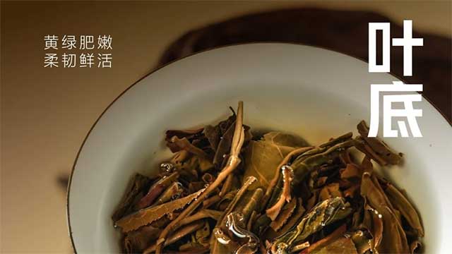 大益2501生态青砖