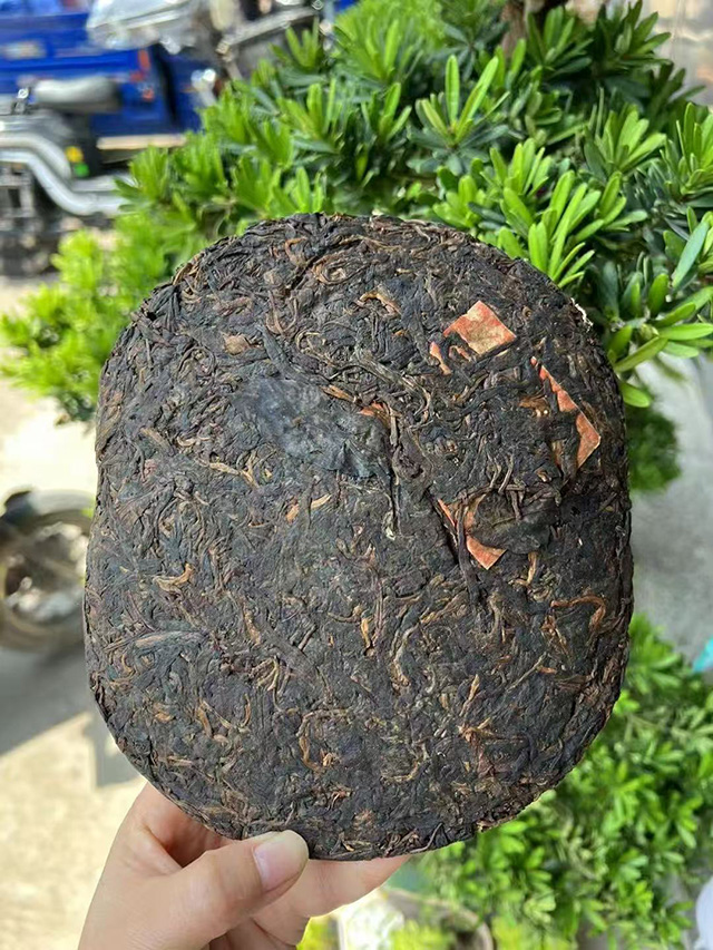 图为1996年凤牌青饼龟背饼