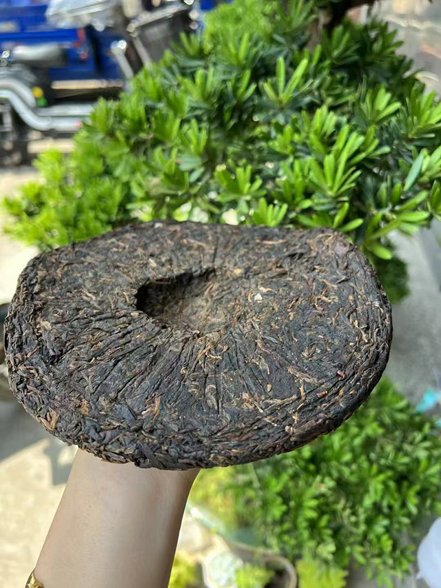 图为1996年凤牌青饼龟背饼