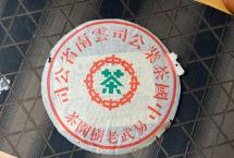仓储干净的易武老茶有多绝？一口甜糯，通体生暖【艾老师选茶】