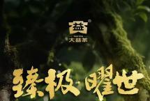 大益新品：绿色生态青砖