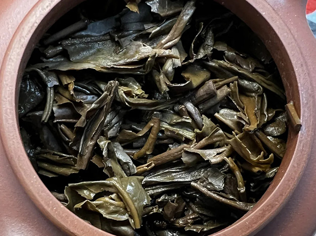勐海茶厂2003年红大益002早春茶