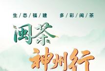 2025闽茶神州行（西安站）启动！20家茶企x22家门店，五味闽茶“炫”到爽！