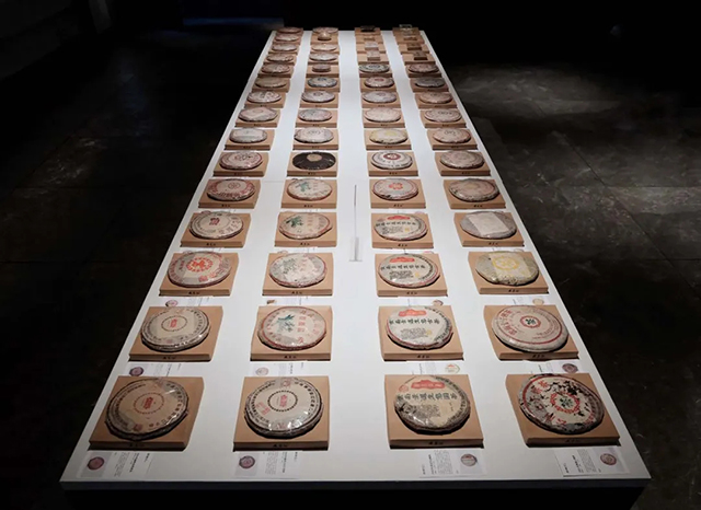 老茶汇的藏茶展示