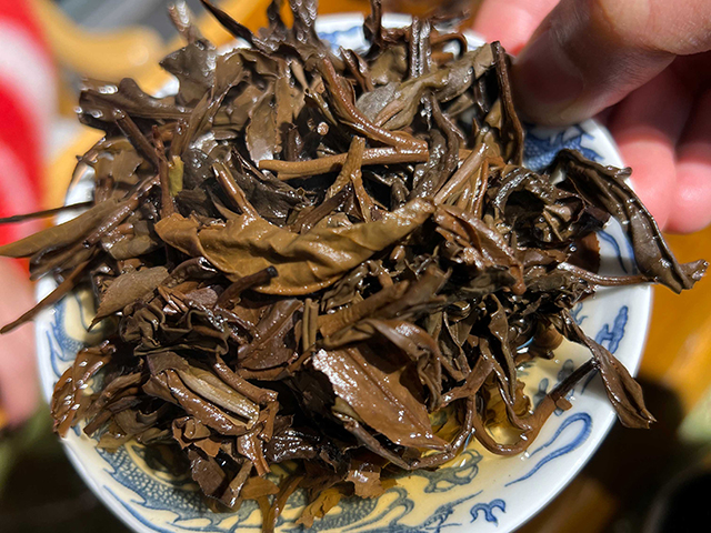 图为1987年小户赛古树散茶