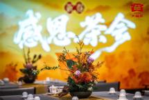 大益“新春感恩茶会”：2026生肖茶「大益英雄骏马」荣耀发布