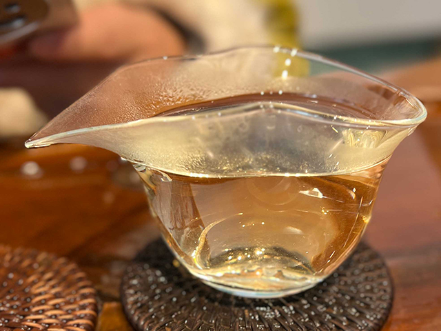 图为2015年勐麻河5号单株古树小饼