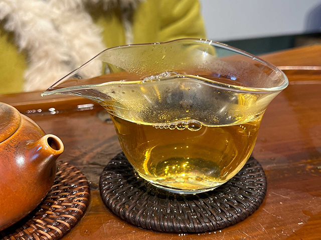 图为2015年勐麻河5号单株古树小饼