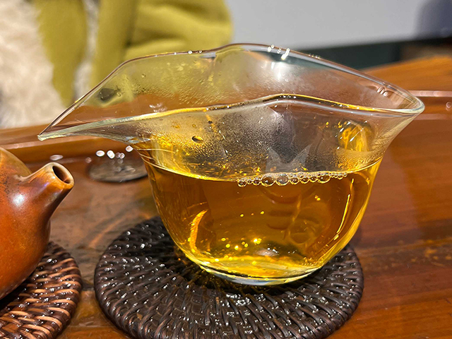 图为2015年勐麻河5号单株古树小饼