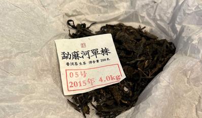 一口喝懂稀缺：2015年勐麻河单株古树茶，香醇厚润，余韵犹存
