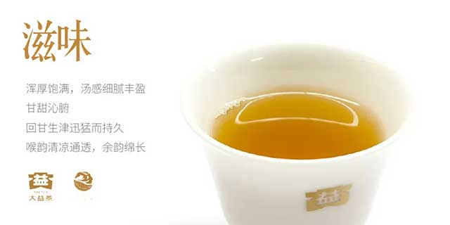 图为2026马年大益英雄骏马生肖茶