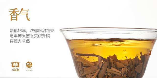 图为2026马年大益英雄骏马生肖茶