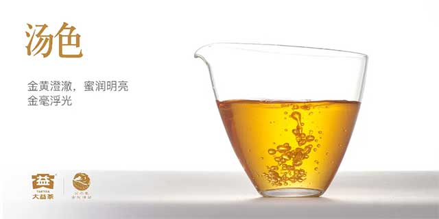 图为2026马年大益英雄骏马生肖茶