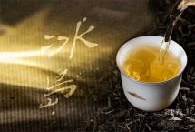 【视点】名寨名茶辈出，为何“冰岛韵”能越来越受追捧？