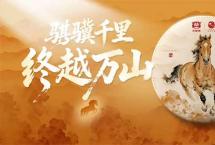 骏马逐日启新程|2026马年生肖茶「大益英雄骏马」全国上市