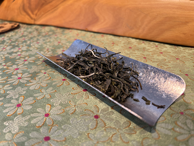 图为2026年勐海雷达山单株挑采古树散料