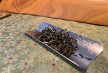 老班章隔壁的“价格洼地”：2026雷达山单株挑采，喝过就懂